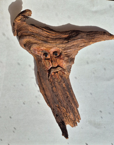 Holzkunst wurzelgesicht - holzkunst,