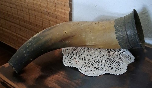 Großes geschwungenes horn - großes,