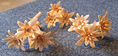 Edelweiss geschnitzt 3 - edelweiss,